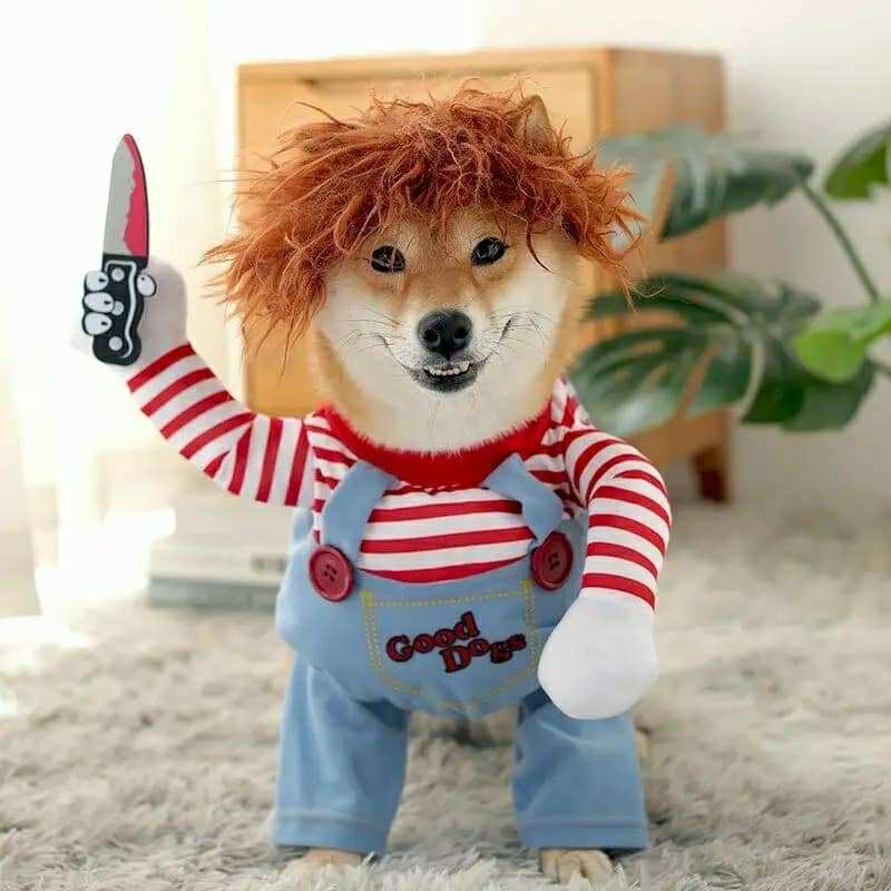 Chucky hundabúningur