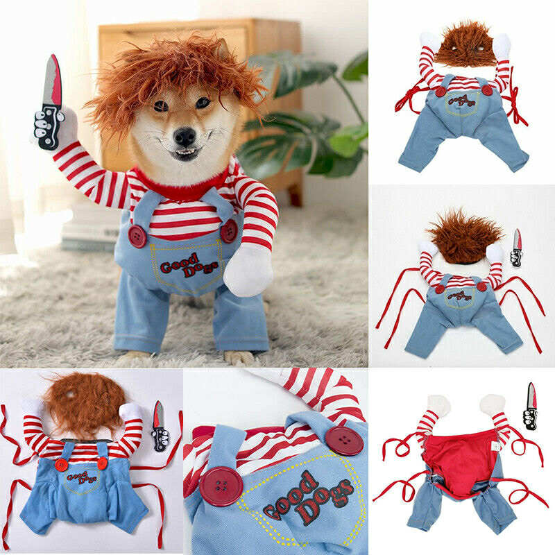 Chucky hundabúningur