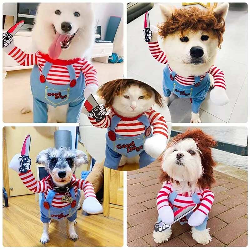 Chucky hundabúningur