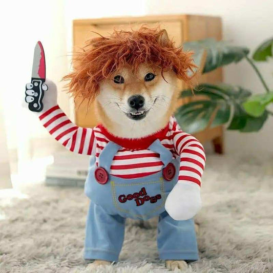 Chucky hundabúningur
