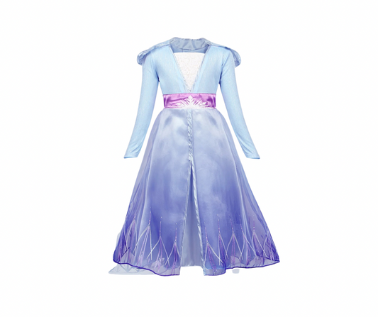 Elsa purple and blue dress