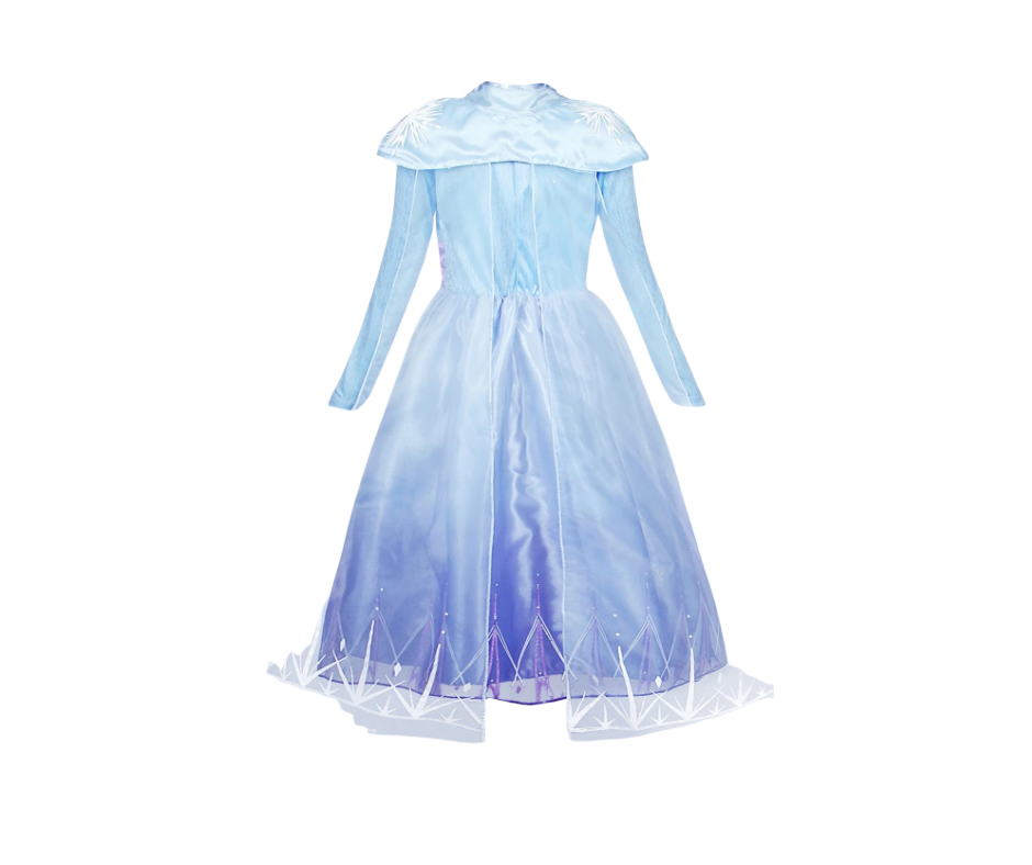 Elsa purple and blue dress